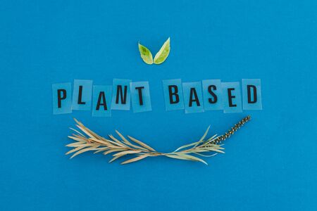 environmentally conscious consumer choices conceptual illustration, leaves and Plant-based text metaphor of vegan and eco-friendly products and dietの写真素材