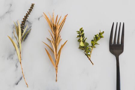 plant-based diet conceptual still-life, fork next to group of mixed plant cuttings on marble table