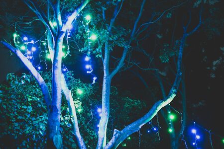 colorful Christmas fairy lights outdoor hanging off of trees in backyard at night in Australia where the festive season is in summerの写真素材