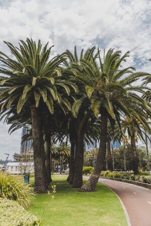 PERTH, AUSTRALIA - December 25th, 2019: Riverside pedestrian walk in Perth with palm trees next to the Swan Riverのeditorial素材