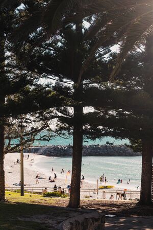 PERTH, AUSTRALIA - December 27th, 2019: view of Cottesloe beach, one of the most popular beaches near Perth in Western Australia on a sunny summer dayのeditorial素材