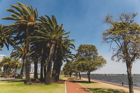 PERTH, WESTERN AUSTRALIA - January 9th, 2020: detail of the Riverside walk along the Swan River from...
