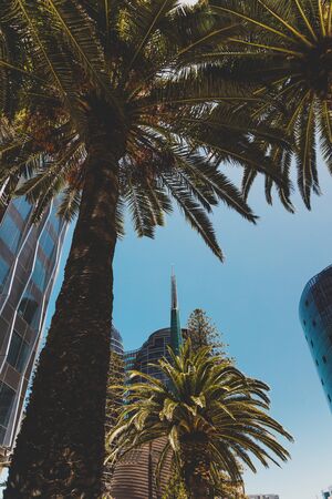 PERTH, AUSTRALIA - January 6th, 2020: view of the Bell Tower near Barrack Street Jetty in Perth,...