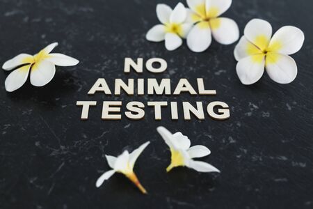 cruelty-free beauty products conceptual still-life, No Animal Testing message among tropical flowers on black marble deskの写真素材