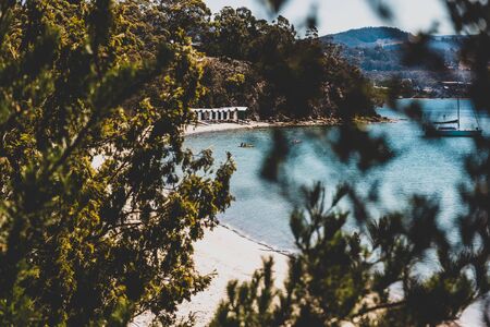 CONINGHAM BEACH, TASMANIA - February 23rd, 2020: wild Tasmanian landscape and pristine turquoise water of the Derwent River as seen from Coningham beach south of Hobart, shot behind tree branchesのeditorial素材