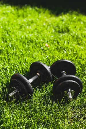 keeping fit and exercising outdoor or at home, set of heavy dumbbells on green grass lawn in a backyard under direct sunlightの写真素材