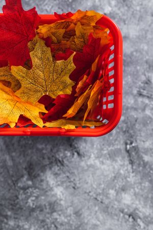 autumn products and seasonal shopping concept, shopping basket with autumn leaves in green yellow and red tonesの写真素材