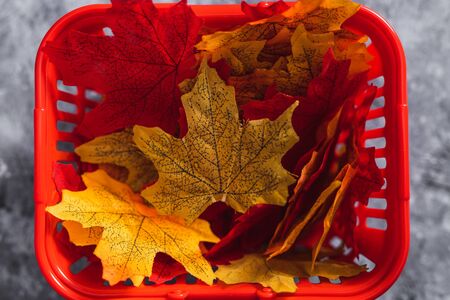 autumn products and seasonal shopping concept, shopping basket with autumn leaves in green yellow and red tonesの写真素材
