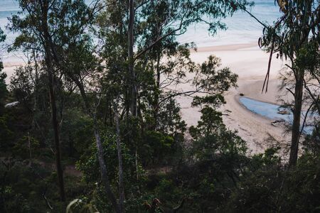 exotic and wild-looking beach with thick vegetation near the shore and no people shot in South Hobart in Tasmania, Australiaの写真素材