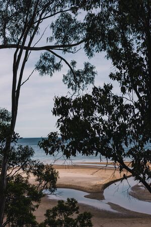 exotic and wild-looking beach with thick vegetation near the shore and no people shot in South Hobart in Tasmania, Australiaの写真素材