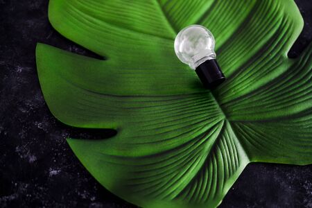 ideas for ecology and the environment concept, lightbulb on top of tropical leaf on black background with deep contrasty tonesの写真素材