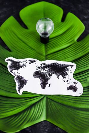 ideas for ecology and the environment concept, lightbulb and world map on top of tropical leaf on...