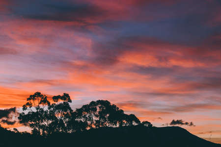 sunset sky with beautiful clouds rolling over the hills of Tasmania, Australia and with eucalyptus gum trees silhouettes in the foregroundの写真素材