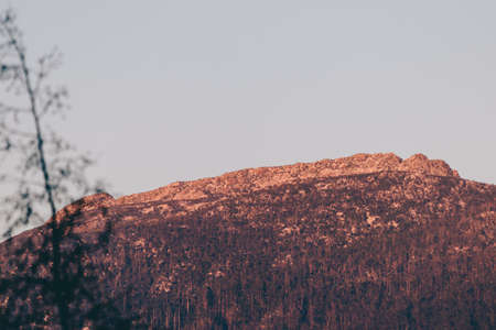 Tasmanian mountain landscape with vegetation in the foreground shot with telephoto lens