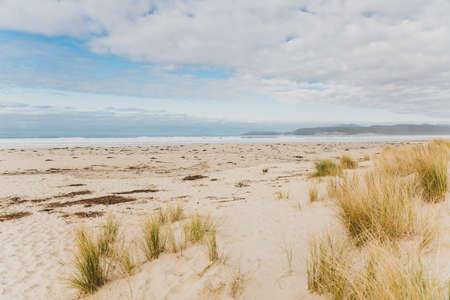 pristine untouched Australian beach in Marion Bay in Tasmania with no people and ocean looking powerfulの写真素材
