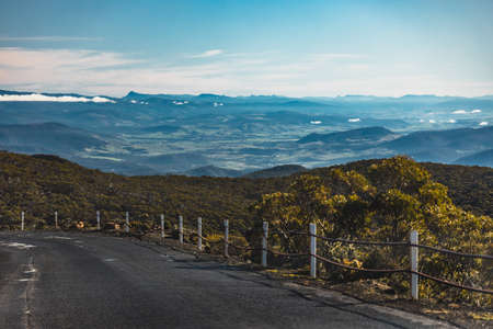 beautiful road surrounded by tall eucalyptus gum tree and Australian bush land while driving up Mount Wellington Kunanyi in Tasmaniaの写真素材