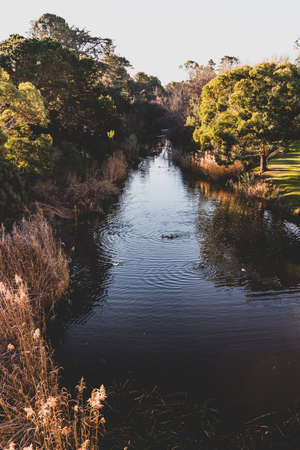 RICHMOND, July 17th, 2020: the Richmond Bridge area in Tasmania on a sunny winter day with people enjoying visitng the historical setting with its heritage listed arch bridgeのeditorial素材