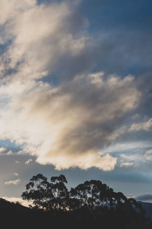 sunset sky with beautiful clouds rolling over the hills of Tasmania, Australia with eucalyptus gum trees silhouettesの写真素材