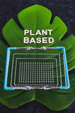 sustainable consumer choices for the environment, plant-based text with shopping cart on big...