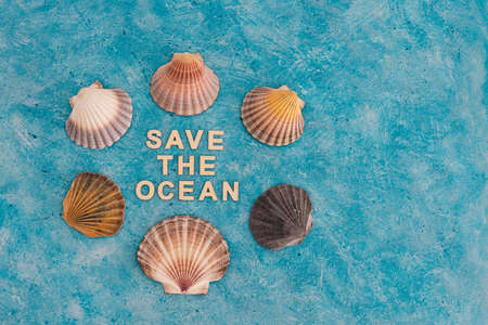 act for climate change and global warming, save the ocean text on blue bakground with sea shells