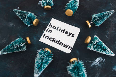 holidays in lockdown due to covid conceptual image, mini decorative Christmas tree pines with memo about lockdownの写真素材