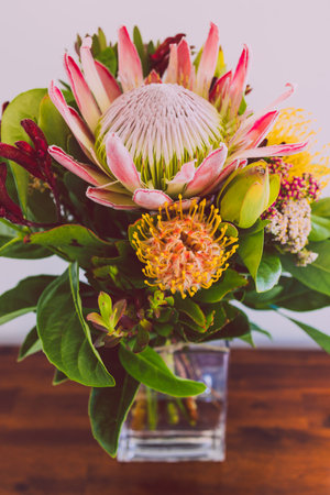 bunch of native Australian flower with proteas and kangaroo paws shot at shallow depth of fieldの写真素材