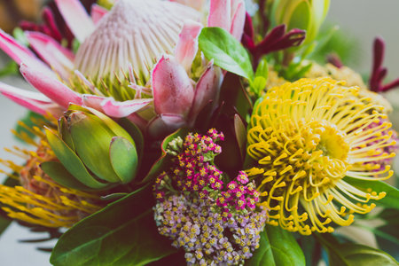bunch of native Australian flower with proteas and kangaroo paws shot at shallow depth of fieldの写真素材