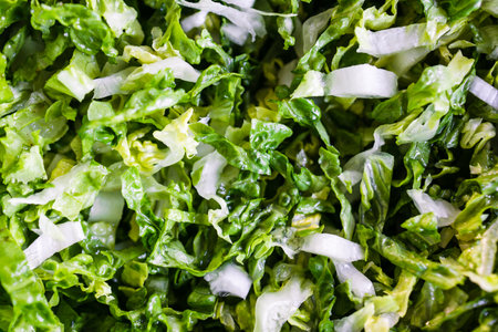 close-up on chopped baby cos lettuce in bowl, healthy ingredients and food textures conceptの写真素材