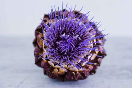 close-up of artichoke flower on wooden table shot at shallow depth of field