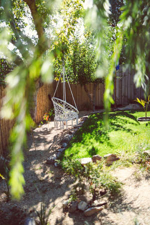 idyllic sunny backyard with lots of plants and tree with hanging chair shot at shallow depth of fieldの写真素材