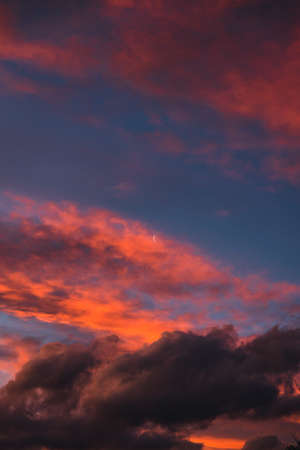 majestic pink sunset over the mountains with eucalyptus gum trees silhouettes shot in Tasmania...