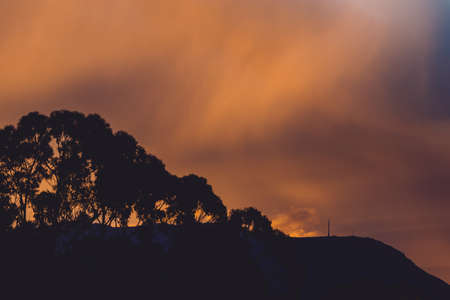 beautiful intense sunset sky with pink and golden tones over the mountains and eucalyptus gum trees shot in Tasmania, Australiaの写真素材