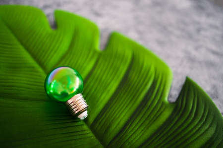 green economy and ideas for the environment conceptual image, green light bulb idea on top of lush tropical leaf on grey backgroundの写真素材