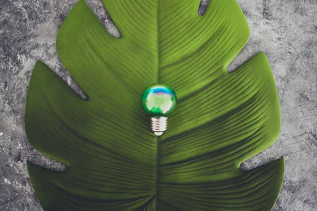 green economy and ideas for the environment conceptual image, green light bulb idea on top of lush tropical leaf on grey backgroundの写真素材