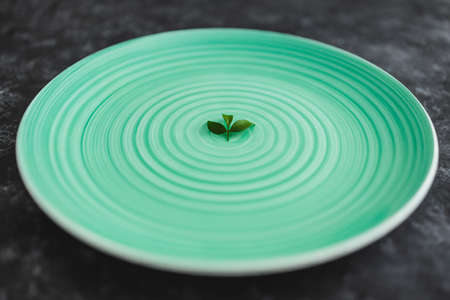 empty green plate with only a couple of little lieaves on it, concept of eating more plants or calories restrictionの写真素材