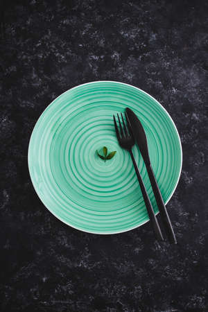 empty green plate with only a couple of little lieaves on it, concept of eating more plants or calories restrictionの写真素材
