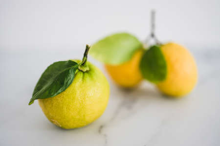 freshly picked lemons with leaves on white background shot at shallow depth of field, concept of simple natural healthy ingredientsの写真素材