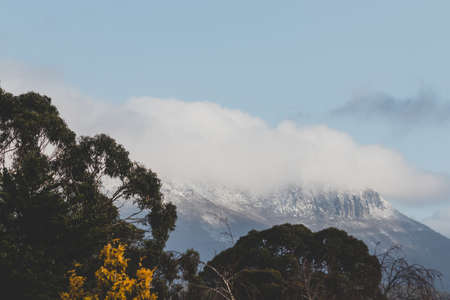 snow-covered mountain tops surrounded by thick vegetation in Tasmania, Australia in winter