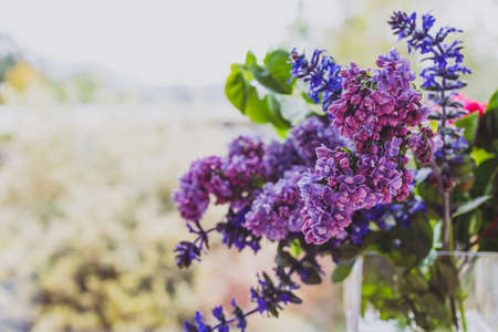 close-up of bunch of purple flowers including lillac in vase indoor by the window shot at shallow...