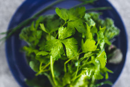 freshly picked mixed greens including Italian parsley broccolini and chives, healthy plant-based...
