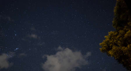 starry night with crisp sky and some clouds with a lot of constellations visible and trees in the...