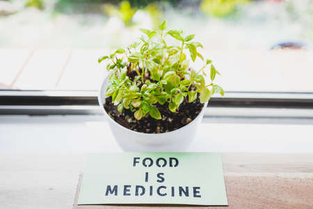 Food is Medicine text on dining table next to basil plant, concept of dieting vs healthy nutrition and intuitive eatingの写真素材