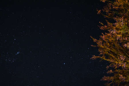 starry night with crisp sky and some clouds with a lot of constellations visible as well as some meteors or satellite trails shot from Tasmaniaon a summer nightの写真素材