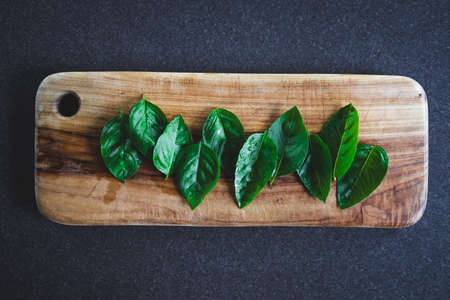 freshly picked basil leaves on wooden cutting board, concept of simple natural healthy ingredientsの写真素材