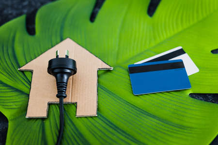 house icon on green leaf with Australian plug on it next to payment cards, concept of renewable energy and clean power sources like solar energyの写真素材