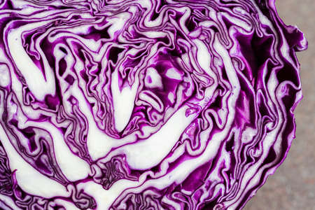 macro of purple cabbage cut in half, concept of natural patterns and colorsの写真素材