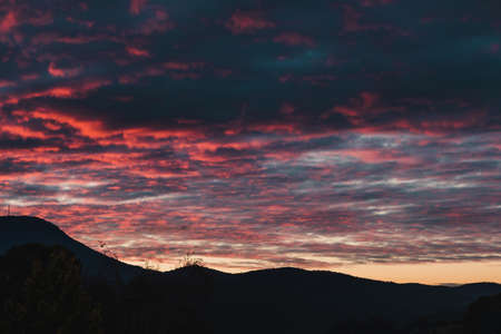 majestic pink sunset over the mountains with eucalyptus gum trees silhouettes shot in Tasmania in winterの写真素材