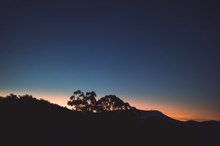 orange sunset over the mountains with eucalyptus gum trees silhouettes shot in Tasmania in winterの写真素材