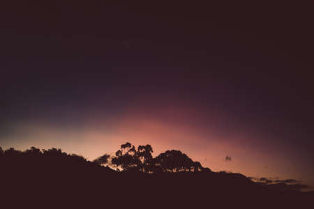 pink purple and orange sunset over the mountains with eucalyptus gum trees silhouettes shot in Tasmania in winterの写真素材