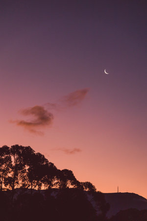 pink and purple sunset sky with crescent moon and no clouds over the mountains with eucalyptus gum...